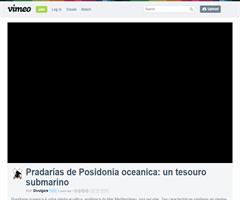 Pradarías de Posidonia oceanica: un tesouro submariño