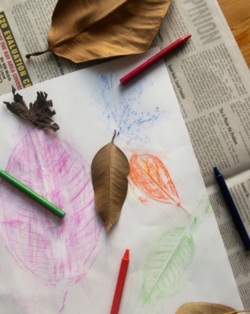 Leaf Rubbings: Shapes and Patterns