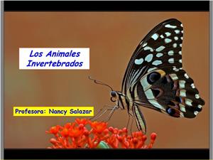 Animales invertebrados (Actividades Jclic)