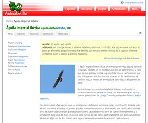 Águila imperial ibérica (Aquila adalberti)
