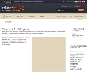 Carnívoros de Chile: puma (Educarchile)