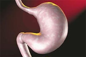 El estómago. El Sistema digestivo- 3ª Parte (Icarito.cl)