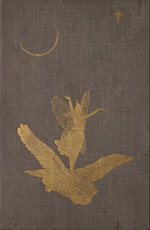 The grey fairy book (International Children's Digital Library)