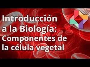 Las células vegetales (educatina.com)