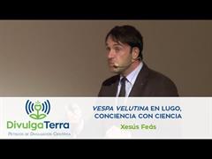 Vespa velutina en Lugo, conciencia con ciencia