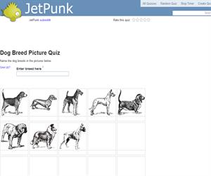 Dog Breed Picture Quiz
