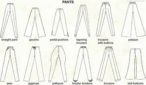 Pants  (Visual Dictionary)