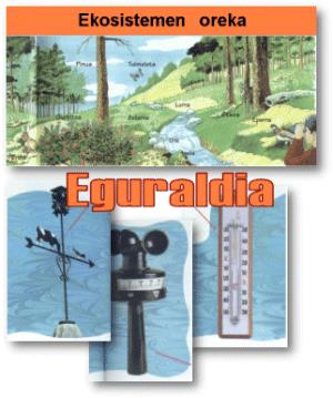 Ekosistemak - Eguraldia (ekosistemak)