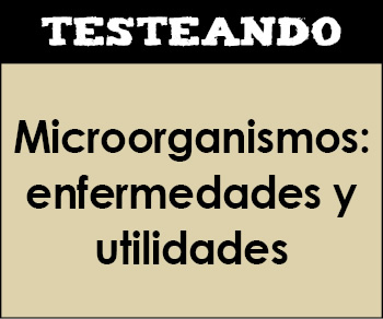 Microorganismos: enfermedades y utilidades. 2º Bachillerato - Biología (Testeando)