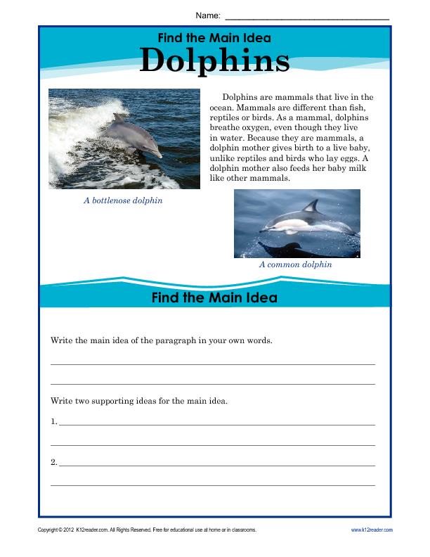 Find the Main Idea: Dolphins