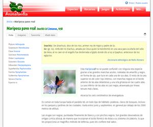 Mariposa pavo real (Inachis io )
