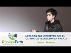 Infección por Rickettsia spp. en carrachas recollidas en Galicia