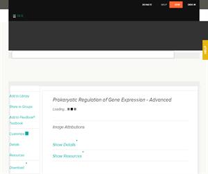 Prokaryotic Regulation of Gene Expression - Advance? Advanced