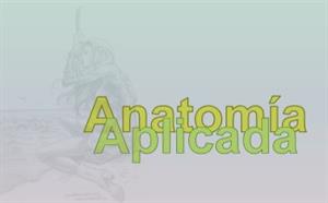 Temario interactivo para Anatomía Aplicada