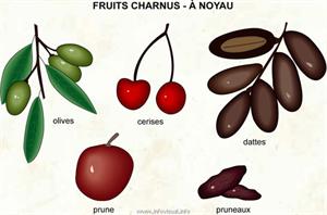 Fruit (Dictionnaire Visuel)