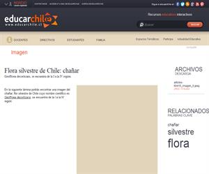 Flora silvestre de Chile: chañar (Educarchile)