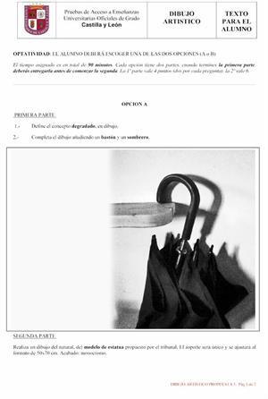 Examen de Selectividad: Dibujo artístico. Castilla y León. Convocatoria Junio 2013