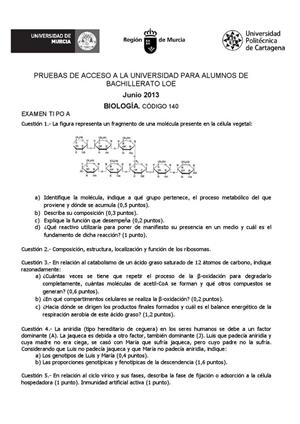 Examen de Selectividad: Biología. Murcia. Convocatoria Junio 2013