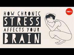 Como afecta o estrés ao cerebro