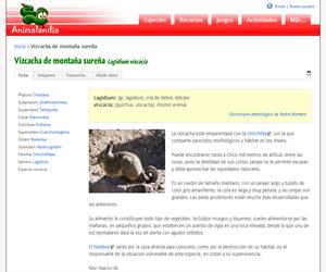 Vizcacha de montaña sureña (Lagidium viscacia)