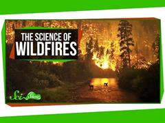 A ciencia dos incendios forestais