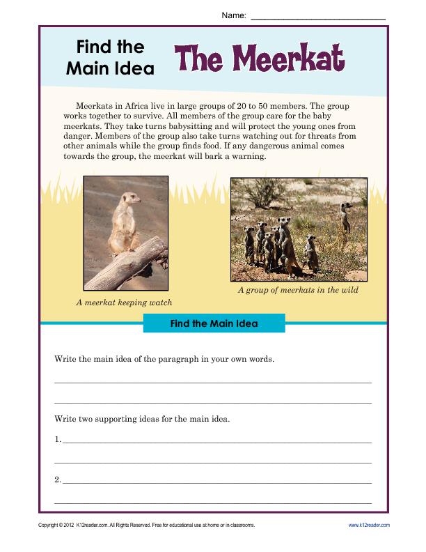 Find the Main Idea: The Meerkat