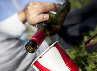 ALADO, software para la prevención del consumo de alcohol en jóvenes