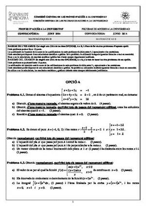 Examen de Selectividad: Matemáticas II. Comunidad Valenciana. Convocatoria Junio 2014