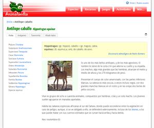 Antílope caballo (Hippotragus equinus)