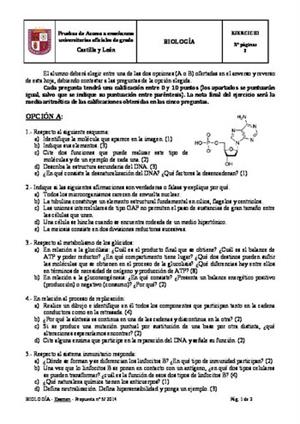 Examen de Selectividad: Biología. Castilla y León. Convocatoria Junio 2014