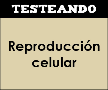 Reproducción celular. 2º Bachillerato - Biología (Testeando)