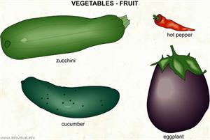 Vegetable  (Visual Dictionary)