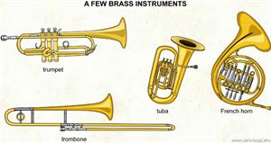 Brass instruments  (Visual Dictionary)