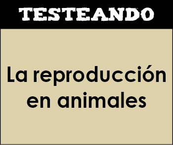 La reproducción en animales. 1º Bachillerato - Biología (Testeando)
