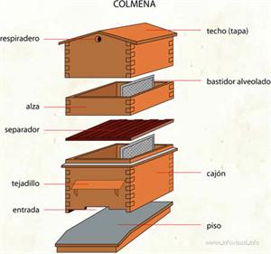 Colmena (Diccionario visual)