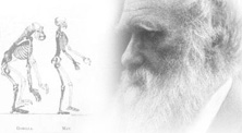 Charles Darwin, el padre de la evolución (elmundo.es)