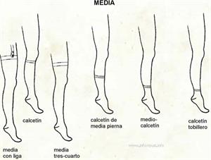 Media (Diccionario visual)
