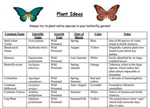 Plant Your Own Butterfly Garden