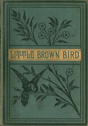 The little brown bird (International Children's Digital Library)
