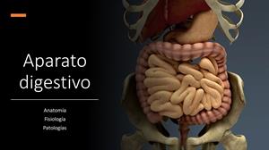 3 clases online sobre aparato digestivo