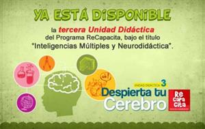 Inteligencias Múltiples y Neurodidáctica