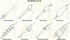 Sleeves 3  (Visual Dictionary)