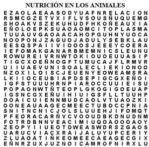 Sopa de letras. Nutrición en animales (upv.es)