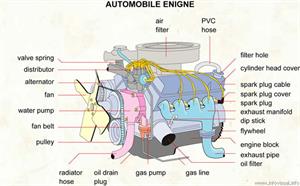 Automobile engine  (Visual Dictionary)