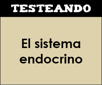 El sistema endocrino. 3º ESO - Biología (Testeando)