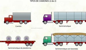 Camiones (Diccionario visual)