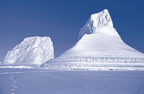 La Antártida: tierra de hielo. Pregunta liberada TIMSS-PIRLS de comprensión lectora