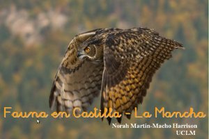 Fauna en Castilla - La Mancha