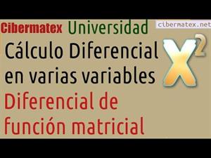Diferencial de Función Matricial. Cibermatex