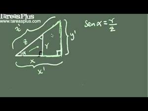 Introducción a las razones trigonométricas fundamentales (Tareas Plus)
